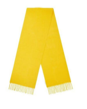 Saint George FC scarf